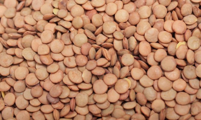 Yeşil Mercimek